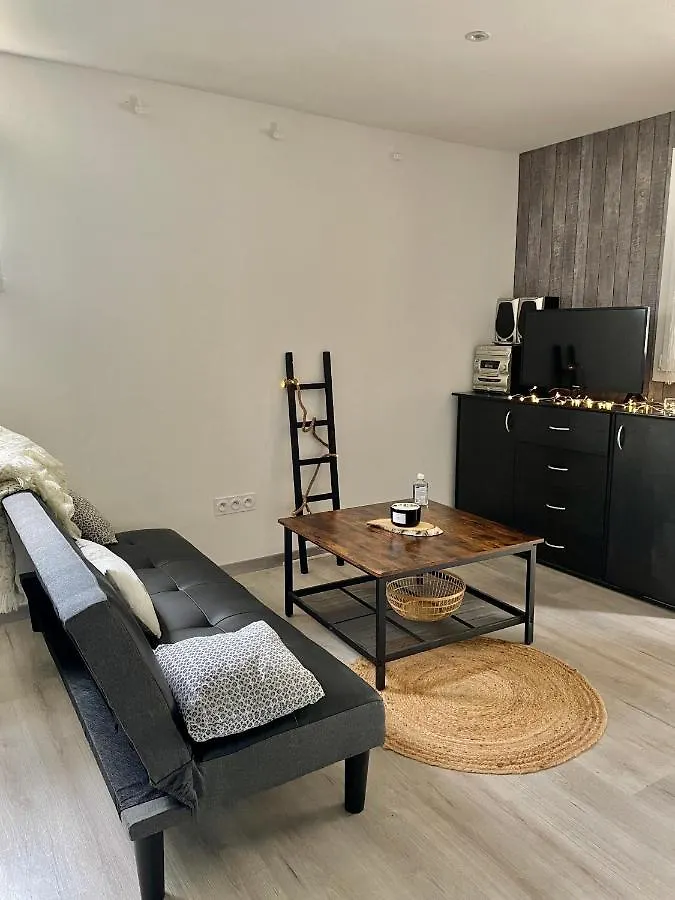 Apartment Joli Appartement Avec Acces Jardin Auch