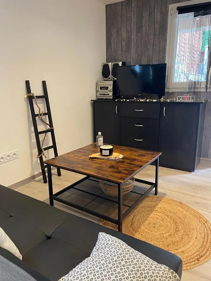 Joli Appartement Avec Acces Jardin Auch France