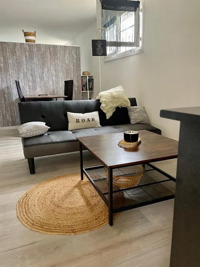Joli Appartement Avec Acces Jardin Auch